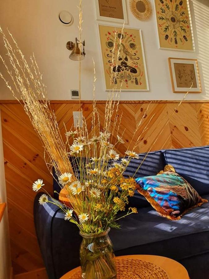 Przystan Nad Listepka Nowoczesna Stodola Z Widokiem Na Tatry, Gorce I Pieniny Chalet Lopuszna