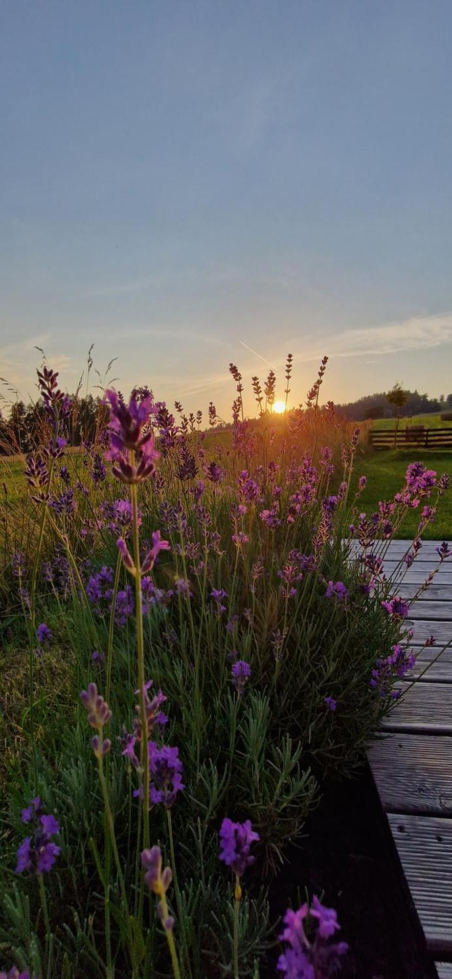 Chalet Przystan Nad Listepka Nowoczesna Stodola Z Widokiem Na Tatry, Gorce I Pieniny *